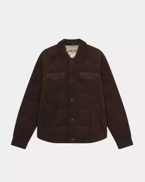 Store Chevignon DOUDOUNE SMOOTHE 2 Marron