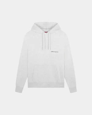 Fashion Chevignon SWEATSHIRT CITY HOOD OVERSIZE Gris